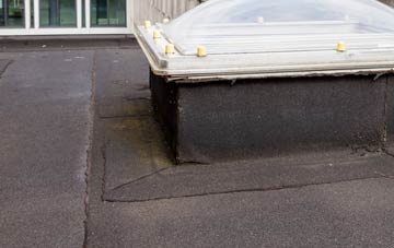 disadvantages of Iping flat roofs