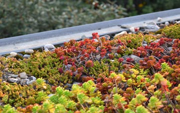 the cost of Iping green roof installation