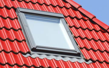 roof windows Iping, West Sussex