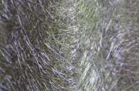 Iping fibreglass roof work