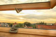rated Iping roof window companies
